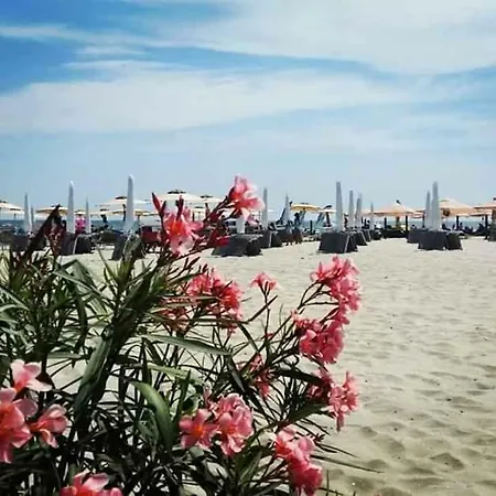 Laguna Nord Resort Mamaia
