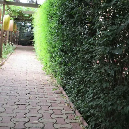 Resort Laguna Nord Mamaia