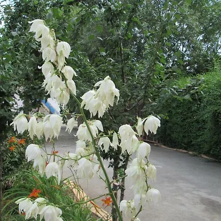 Resort Laguna Nord